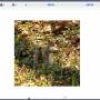 data_platform2_bounding_box_annotation.jpg